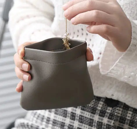 Pocket Cosmetic Bag and Mini Multifunctional Pouch